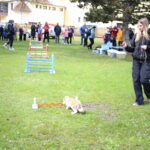IMG_2486 - kopie